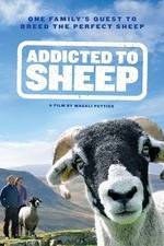 Watch Addicted to Sheep Xmovies8