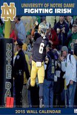 Watch The Fighting Irish Xmovies8