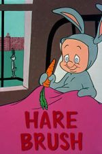 Watch Hare Brush (Short 1955) Xmovies8