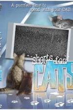 Watch Shorts for Cats Xmovies8