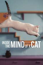 Watch Inside the Mind of a Cat Xmovies8