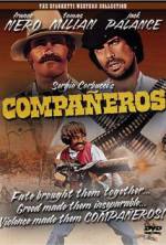 Watch Companeros Xmovies8