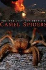 Watch Camel Spiders Xmovies8