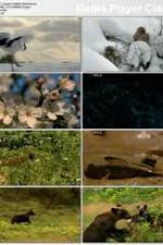 Watch National Geographic: Japans Hidden Secrets Xmovies8