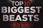 Watch Top 10 Biggest Beasts Ever Xmovies8