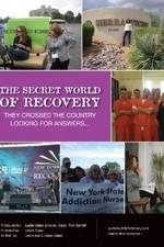 Watch The Secret World of Recovery Xmovies8