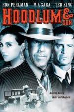 Watch Hoodlum & Son Xmovies8