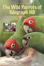 Watch The Wild Parrots of Telegraph Hill Xmovies8