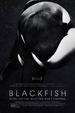 Watch Blackfish Xmovies8