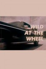 Watch Wild at the Wheel Xmovies8