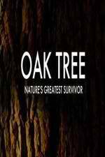 Watch Oak Tree Natures Greatest Survivor Xmovies8