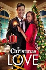 Watch A Christmas Love Xmovies8