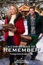 Watch A Christmas to Remember Xmovies8
