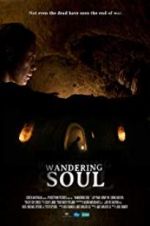 Watch Wandering Soul Xmovies8