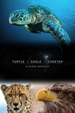 Watch Turtle, Eagle, Cheetah: A Slow Odyssey Xmovies8