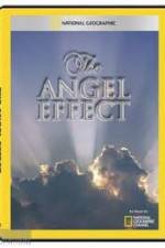 Watch National Geographic Explorer - The Angel Effect Xmovies8