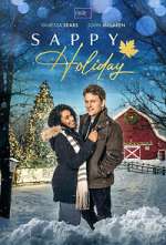 Watch Sappy Holiday Xmovies8