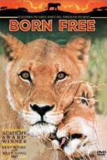 Watch Born Free Xmovies8