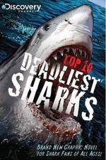 Watch National Geographic Worlds Deadliest Sharks Xmovies8