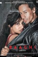 Watch Baaghi Xmovies8