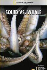 Watch National Geographic Wild - Squid Vs Whale Xmovies8