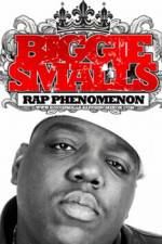 Watch Biggie Smalls Rap Phenomenon Xmovies8