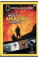 Watch National Geographic's Most Amazing Moments Xmovies8