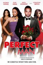 Watch The Perfect Man Xmovies8