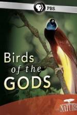 Watch Birds Of The Gods Xmovies8