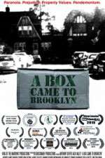 Watch A Box Came to Brooklyn Xmovies8