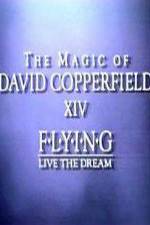 Watch The Magic of David Copperfield XIV Flying - Live the Dream Xmovies8