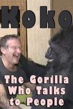 Watch Koko: The Gorilla Who Talks to People Xmovies8