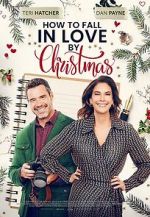 Watch How to Fall in Love by Christmas Xmovies8