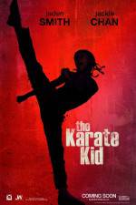 Watch The Karate Kid Xmovies8