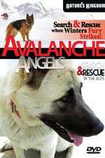 Watch Avalanche Angels Xmovies8