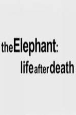 Watch The Elephant - Life After Death Xmovies8