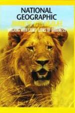 Watch National Geographic:  Walking with Lions Xmovies8