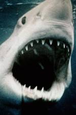 Watch Sharkmania: The Top 15 Biggest Baddest Bloodiest Bites Xmovies8