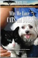 Watch Why We Love Cats And Dogs Xmovies8