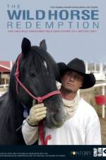 Watch The Wild Horse Redemption Xmovies8