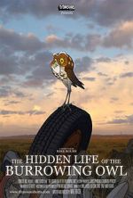 Watch The Hidden Life of the Burrowing Owl (Short 2008) Xmovies8