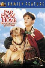 Watch Far from Home The Adventures of Yellow Dog Xmovies8