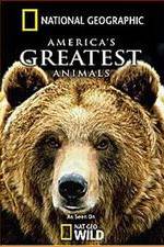Watch America's Greatest Animals Xmovies8