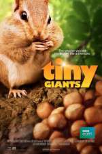 Watch Tiny Giants 3D Xmovies8