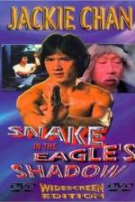 Watch Bruce Vs. Snake In Eagle's Shadow Xmovies8