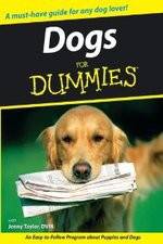 Watch Dogs for Dummies Xmovies8