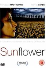 Watch Sunflower Xmovies8