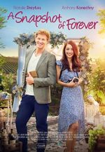 Watch A Snapshot of Forever Xmovies8