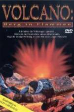 Watch Volcano: Fire on the Mountain Xmovies8
