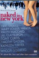 Watch Naked in New York Xmovies8